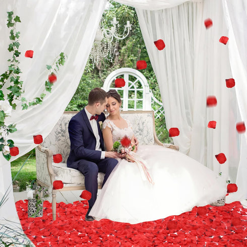 3000 PCS Dark Red Artificial Silk Rose Petals for Romantic Night, Wedding, Party, Anniversary Flower Decorations...