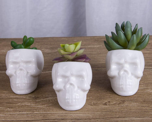 VanEnjoy Set of 3 Ceramic Skull succulent Pots and Planters Creative Cactus Plant Pot Pen Pencil Holder, Home Office Bedroom desk Decoration...