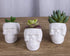 VanEnjoy Set of 3 Ceramic Skull succulent Pots and Planters Creative Cactus Plant Pot Pen Pencil Holder, Home Office Bedroom desk Decoration...