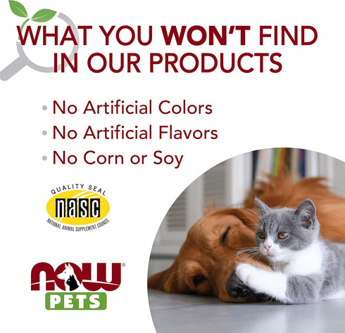 NOW Pet Health, L-Lysine Supplement, Powder, Formulated for Cats, NASC Certified, 8-Ounce...