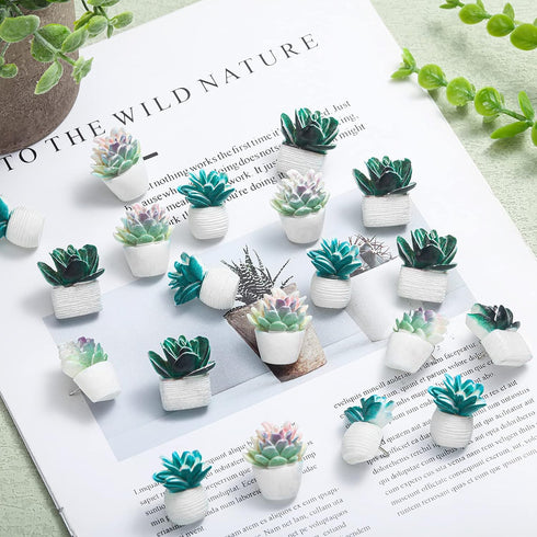 Push Pins Cute Decorative Push Pins Set for Cork Board Succulent Push Pins for Wall Fun Office Supplies Thumb Tacks Decorative Bulletin Board Maps...