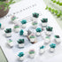 Push Pins Cute Decorative Push Pins Set for Cork Board Succulent Push Pins for Wall Fun Office Supplies Thumb Tacks Decorative Bulletin Board Maps...