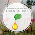 Air Wick Essential Mist Twin Refill Calming Sea Spray & Breeze 2 ct....