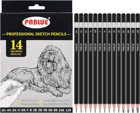 Professional Triangular Drawing Sketching Pencil Set,6H,4H,2H,H,HB,F,B,2B,3B,4B,6B,8B,10B,12B Graphite Shading Pencils for Beginners,ProArtists,Dr...