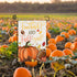 Fall Pumpkin Garden Flags 12x18 Vertical Double Sided, Football and Fall Y'all Yard Flag for Outside Decor, Autumn Thanksgiving Holiday Outdoor Se...