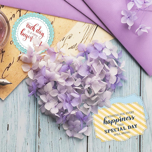 Word Clear Stamps for Card Making Label Rectangle Die Cut Round Frame Metal Cutting Die Inspirational Quote Silicone Stamp for DIY Scrapbooking Ar...