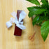 2 Rolls 1.5 Inch x 5.5 Yard Handmade Fringe Chiffon Ribbon Frayed Edges Silk-Like Ribbon Rustic Ribbon for Bouquets Wrapping Decor Wedding Tie Inv...