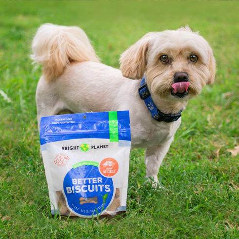 | Plant-Based Vegan Dog Biscuit Italian Me'atball - 7oz | Sustainable Natural Clean Label | Limited Ingredient Hypoallergenic Treat | Made in USA ...