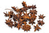 Slofoodgroup Whole Star Anise - For Cooking, Pickling and Spice Mixes - 2 Ounces...