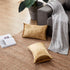 GIGIZAZA Gold Velvet Decorative Throw Pillow Covers for Sofa Bed 2 Pack Soft Cushion Cover 12x20...