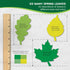 120 Pieces Spring Leaf Paper Cutouts with IDEA GUIDE, 2-Sided US Made Card Stock Punch Out Maple, Oak, and Birch Leaves for Bulletin Boards, Class...