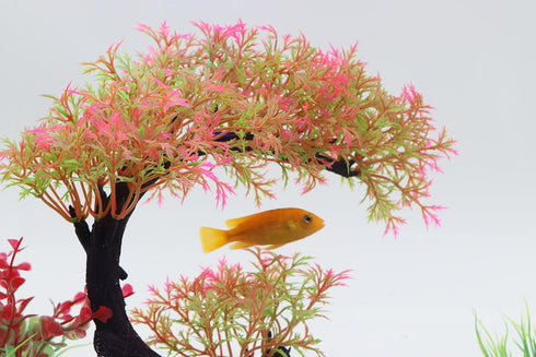 AQUA KT Aquarium Landscape Curved Tree Magenta Plant Plastic for Betta Clownfish Cichlid Guppy Glofish Tank Decoration...