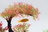 AQUA KT Aquarium Landscape Curved Tree Magenta Plant Plastic for Betta Clownfish Cichlid Guppy Glofish Tank Decoration...