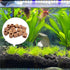 Rainmae 16 Pcs Aquatic Water Plant Fixed Rings, Water Plants Cultivation Fixed Ring Aquatic Water Plant Fixed Ring Ceramic Plant Pot, Landscape Ce...