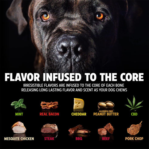 Pet Qwerks Wishbone BarkBone - Nylon Chew Toy for Aggressive Chewers - Bacon Flavor - 6.75"...