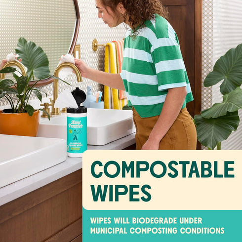 Aunt Fannie's Natural Cleaning Vinegar Wipes, Multipurpose Surface Cleaner, Eucalyptus Scent, 35 Count (Pack of 1)...