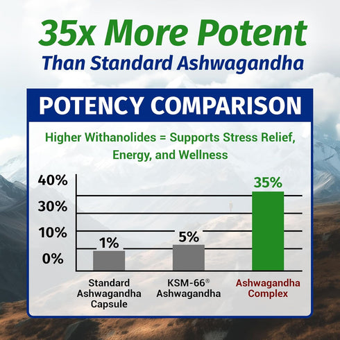 1 Body Ashwagandha Complex with Shoden® – Clinically Supported Stress Relief, Sleep, and Energy Support – Vegan, Non-GMO Supplements – 60 Capsules...