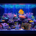 Faeshoo Fish Tank Decoration Betta Fish Tank Decorations Accessories for Aquarium Tank, Starfish Barrel x 1pc, Aquatic Plants x 4pcs...