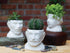The Unemployed Philosophers Guild Sigmund Freud Bust Ceramic Planter...