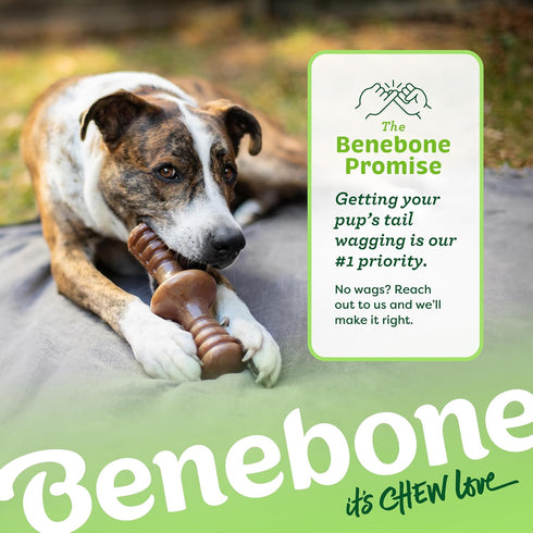 Benebone Zaggler Rolling Dog Chew Toy for Aggressive Chewers, Real Bacon, Made in USA, Large...