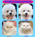 Pet Eye Wipes for Dogs & Cats - Gently Remove Tear Stain, Eye Debris, Discharge, Mucus Secretions - Aloe & Chamomile Pet Cleaning Grooming Deodori...