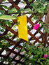 Faicuk Yellow Dual-Sided Sticky Fly Traps for Plant Insect Like Aphids, Fungus Gnats, Leaf Miners and White Flies (10 Pack)...