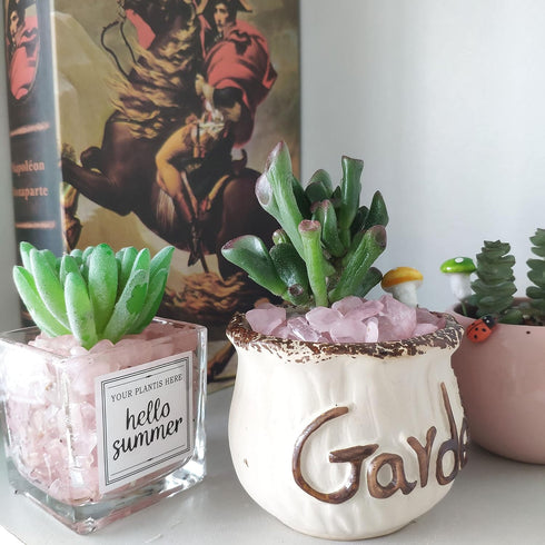 DUQGUHO Rose Quartz Crystals Chip Bulk Pink Rocks for Plants Succulent Flowerpot Vase Filler Decorative Rocks Terrarium Supplies Little Fish Tank ...