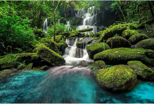 Forest Aquarium Background Waterfall Tropical Jungle Terrarium Background Green Leaves with Lush Moss Rocks Aquarium Backdrops Reptile Habitat Bac...