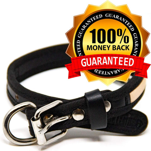 Premium Leather Dog Collar - Best Full Grain Heavy Duty Genuine Leather Collar (Tan, Small)...