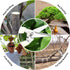 Garden Scissors for Plant, Tip Pruning Shears for Cutting Flowers, Trimming Plants, Bonsai and Fruits Picking (Straight Tip Scissors)...