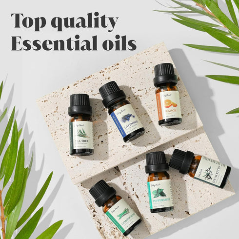 Essential Oils Set - Top 6 Aromatherapy Oils Perfect for Diffuser, Humidifier, Candle Making, Essential Oil Home Gifts Set, Eucalyptus, Lavender, ...