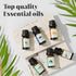 Essential Oils Set - Top 6 Aromatherapy Oils Perfect for Diffuser, Humidifier, Candle Making, Essential Oil Home Gifts Set, Eucalyptus, Lavender, ...