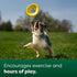Earth Rated Flying Disc Dog Toy, Interactive Flying Saucer Toy for Adult and Puppy Dogs, Floats in Water, Small, Yellow...