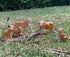 Gemini&Genius Jaguar Toys, Safari Animal Cheetah Toys, Leopard Family Playset Figures, Wildlife World Models, Birthday Cake Toppers or Gifts for K...
