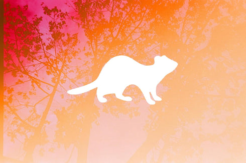 4-Inch Ferret Style Design Stencil, Reusable Mylar Cutout, for Sign Art, Crafts & DIY Projects...