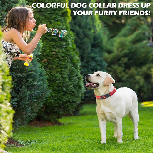 BINGPET 3 Pack Dog Collar for Small Medium Large Dogs,Adjustable Soft Pet Collars with Quick Release Buckle,Adjustable Natural Fabric Pet Dog Coll...