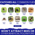 2 Reusable Fly Traps Outdoor Fly Traps with 4 Natural Fly Magnet Bait Refill. Flies Trap Outdoor Reusable Fly Trap Jar Fly Trap Fly Catchers Outdo...