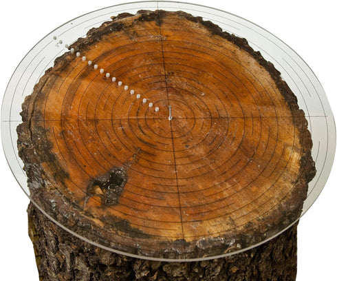 Fulton 10" Round Center Finder Compass Clear Acrylic for Drawing Circles, Lathe Work and Woodturners. Ideal For Locating Center on Logs and Genera...