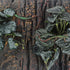 Fake Reptile Plants for Reptile Terrarium Plants, Reptile Plant Décor, Turtle Tank Plants with Suction Cup...
