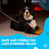 5 FT Dog Leash with Padded Handle and Reflective Rope Heavy-Duty Padded Leash for Small Medium and Large Dogs...
