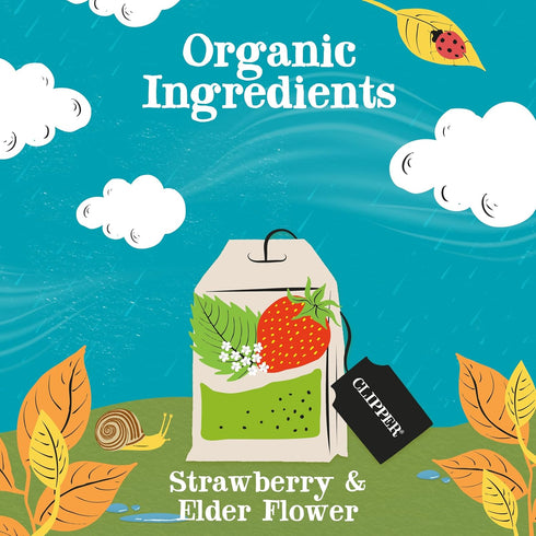 Clipper Tea Strawberry & Elderflower Herbal Tea – Caffeine Free, USDA Organic, Great Hot or Iced – Refreshingly Fruity, Natural, Fair & Delicious ...