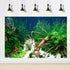 Aquarium Background Aquatic Live Plants Stones Roots Terrarium Background Jungle Style Aquarium Backdrop Coral Reef Fish Tank Background Decor Vin...