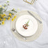 SHACOS Round Placemats Set of 6 Boho Braided Bordered Placemats 15 inch for Dining Tables Wedding Holiday Party (Ivory Bordered, 6)...
