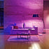 Feit Electric LED Color Changing Light Bulb - A19 with an E26 Medium Base Light Bulb - 60W Equivalent - 15 Year Life...
