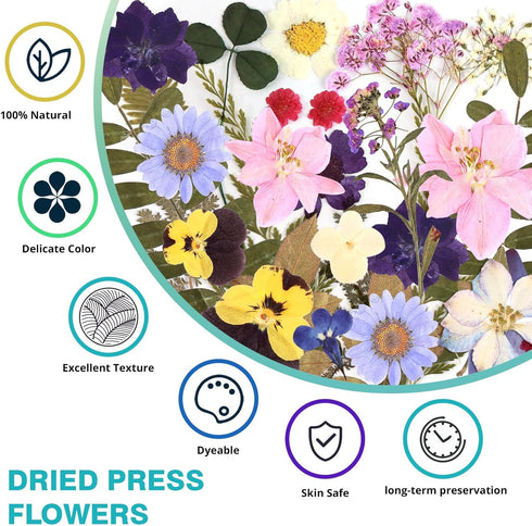 Resiners 100Pcs Dried Pressed Flowers for Resin Molds, Purple Real Pressed Flowers Dry Leaves Kit for Art Crafts Resin Jewelry Making Scrapbook Su...