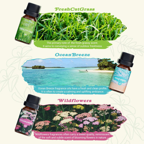 SALKING Nature Fragrance Oils, Premium Essential Oil for Diffuser, Scented Oil Gift Set for Soap Candle Making - Pine, Ocean Breeze, Rain, Fresh C...