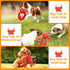 Large Dog Toys Squeaky: Plush dog toys - Stuffed Dog Toys - Big Dog Toys for Small Medium Large Breeds...