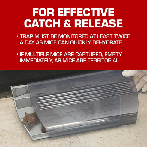 Tomcat Multi-Catch Mouse Trap, 1 Trap...