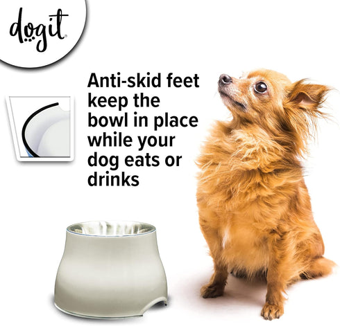 Dogit Elevated Dog Bowl, Stainless Steel Dog Food and Water Bowl for Small Dogs, White, 73745...