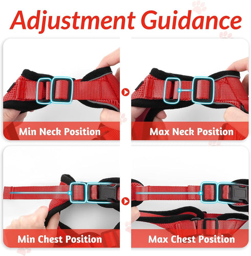 rabbitgoo Cat Harness and Leash for Walking, Escape Proof Soft Adjustable Vest Harnesses for Cats, Easy Control Breathable Reflective Strips Jacke...